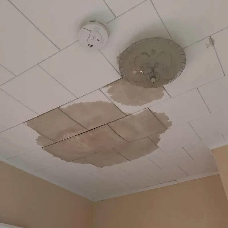 Ceiling Water Damage Repair in Hempstead, NY
